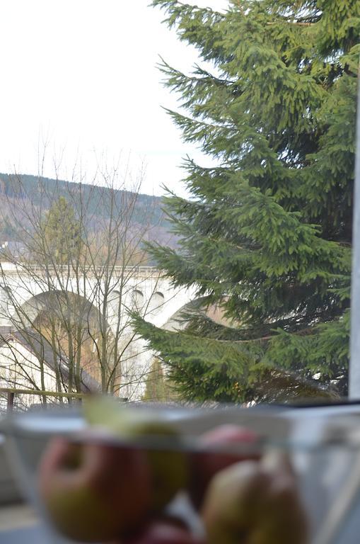 Ettelsberg Appart Виллинген Номер фото